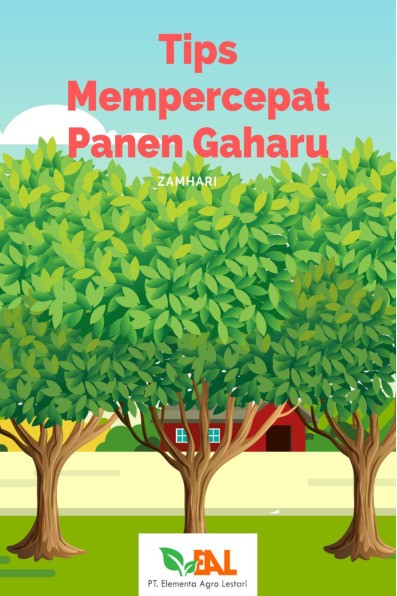 Tips Mempercepat Panen Gaharu
